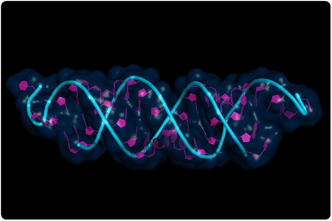 Epigenetics Epigenetics
