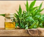 What's The Best Way To Identify Male Hemp Seedlings?