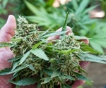 Whole Plastome Sequences of Two Drug-Type Cannabis: Insights Into the Use of Plastids in Forensic Analyses