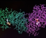 Novel isomer separation technique has major implications in biological processes
