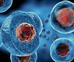 Stem Cell Controversy
