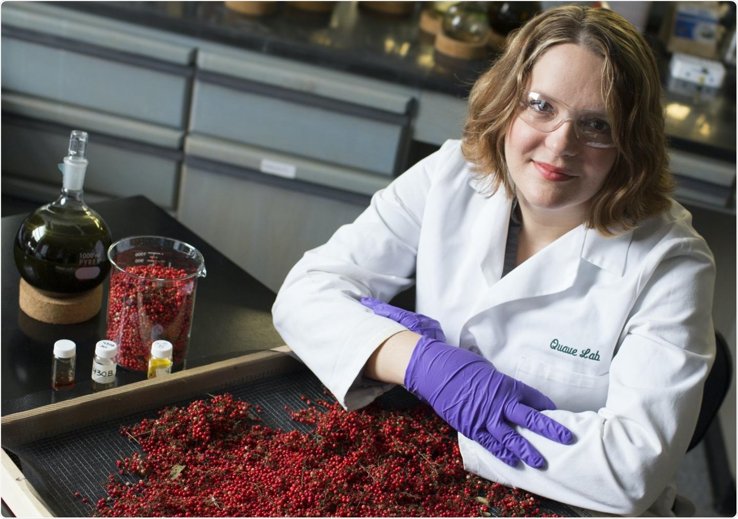 Compounds in Brazilian shrub can reduce the virulence of antibiotic-resistant bacteria