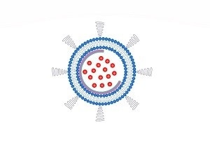 Nanobowl-stabilized liposomes are less leaky than regular liposomes