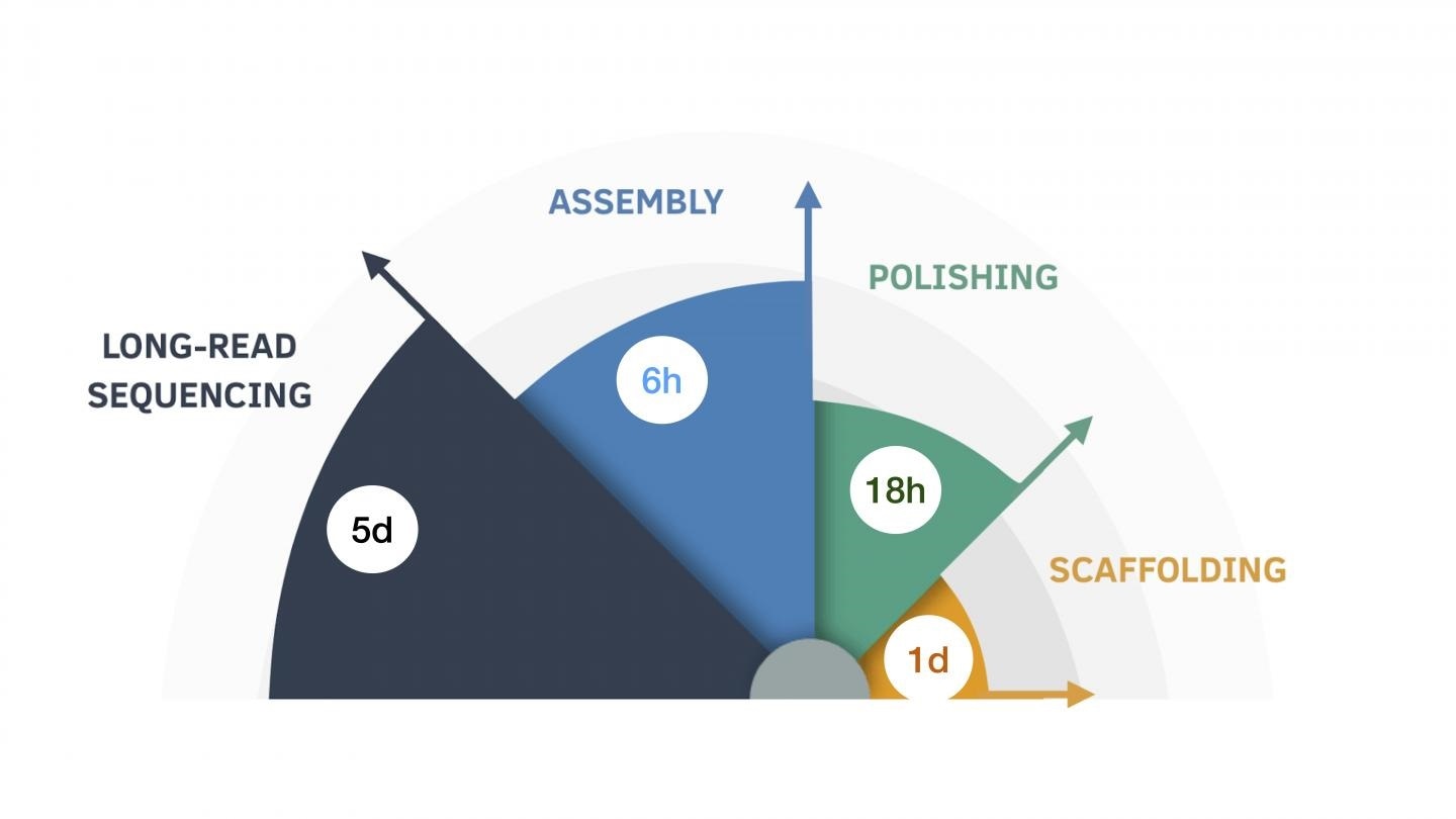 News algorithm accurately, precisely, quickly assembles complete human genomes