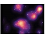Pre-existing genes can promote metastasis