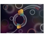 Novel method sheds light on genomes of bacteria and viruses