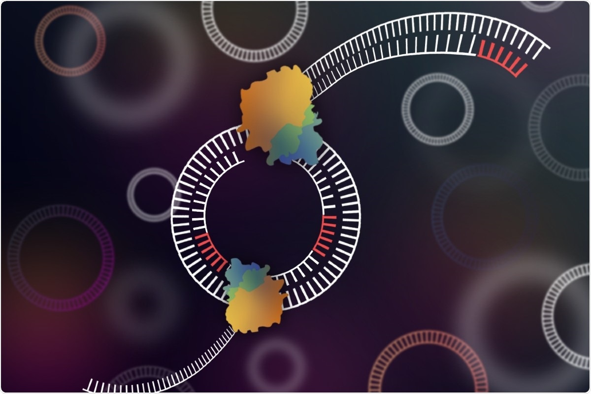 Novel method sheds light on genomes of bacteria and viruses