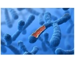 New sequencing method helps map the spatial arrangement of DNA