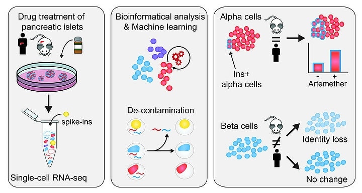 Determining effect of drugs in pancreatic islets through single-cell RNA-seq approach