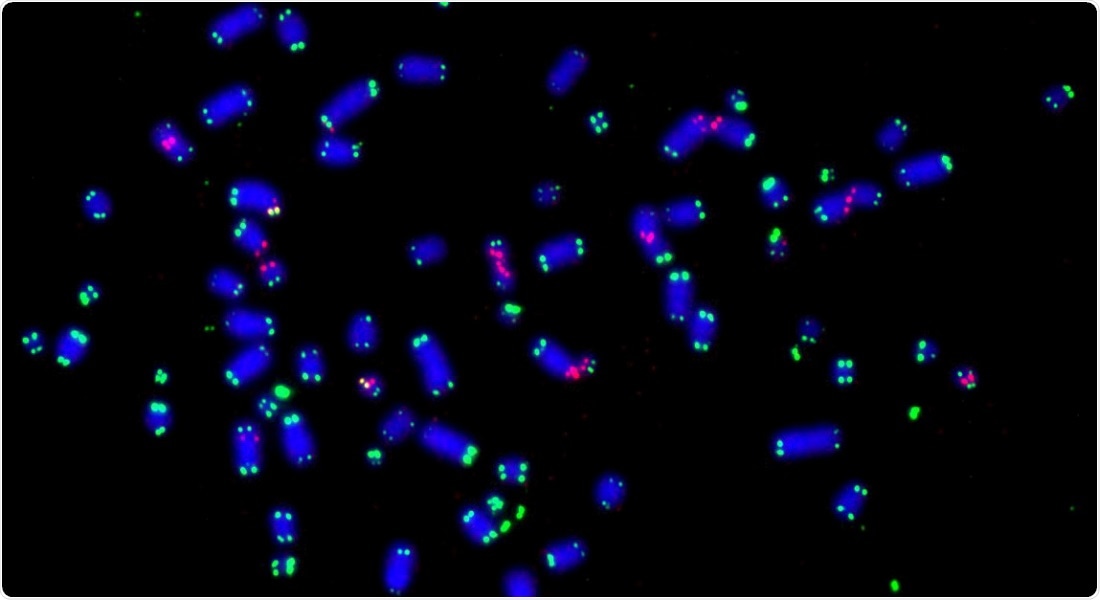 Study reveals proteins that sustain cancer cells