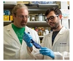 Study shows how ocean virus captures the metabolism of carbon-storing bacteria