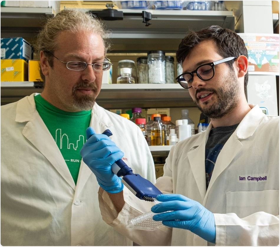 Study shows how ocean virus captures the metabolism of carbon-storing bacteria
