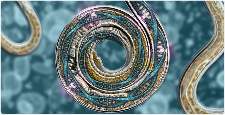 Study shows how mutational signatures are shaped by DNA repair pathways