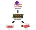 New DNA study can revolutionize cancer treatment
