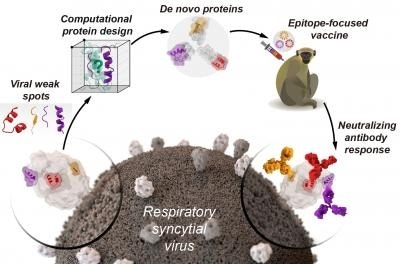 Computational methods can help design protein-based vaccines