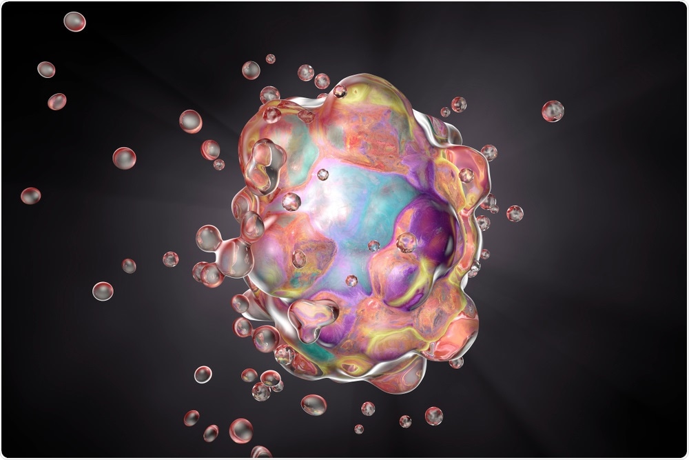 Cell Apoptosis Cell Apoptosis