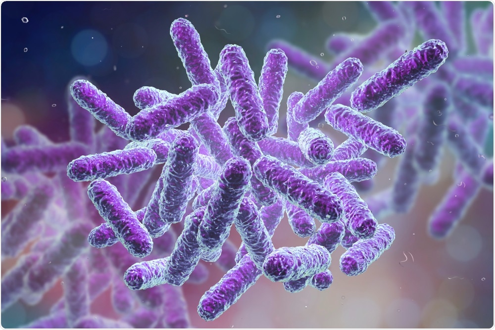Bacteria Bacteria
