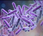 Exploiting A Chink In The Armor Of Bacteria Could Result In New Drug Therapies