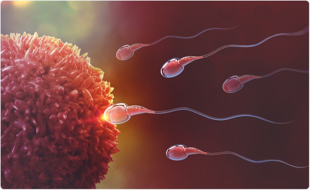 Fertilization Fertilization