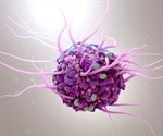 Direct Control Of Dendritic Cells For Tracking And Immune Modulation