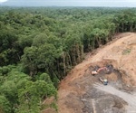Why are we still failing to stop deforestation?