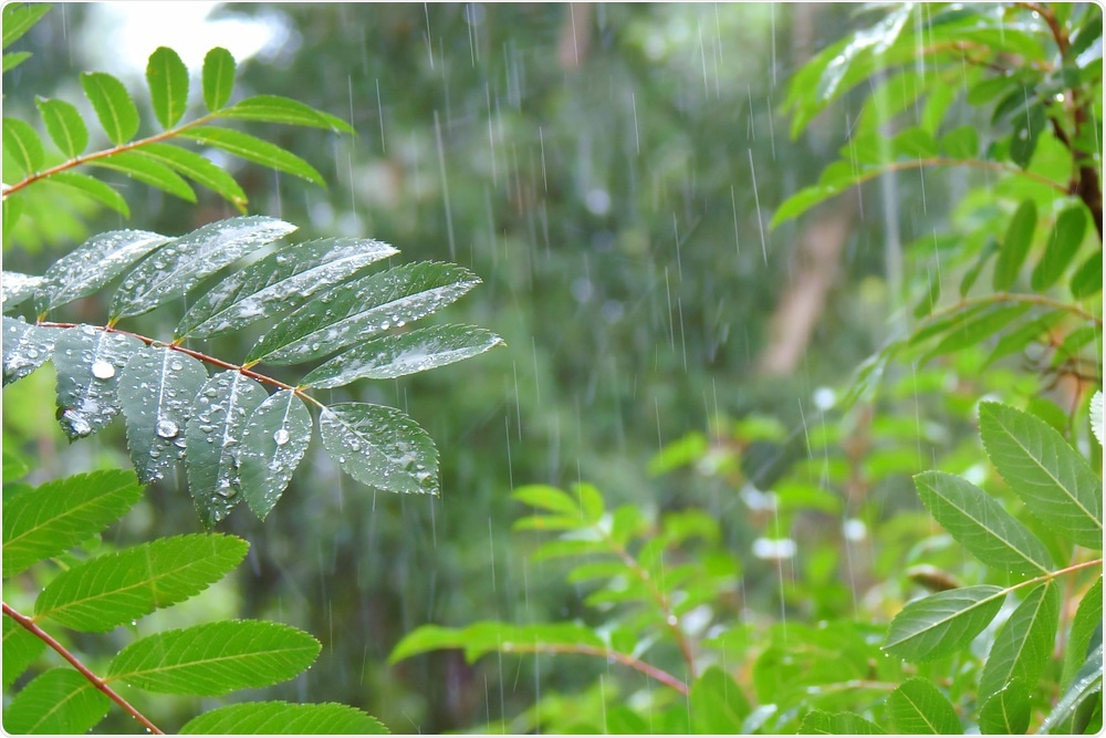 Rainfall Rainfall