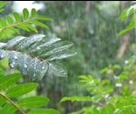 Study Shows Wetter Climate Is Likely To Intensify Global Warming