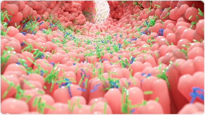 Gut Microbiome Gut Microbiome
