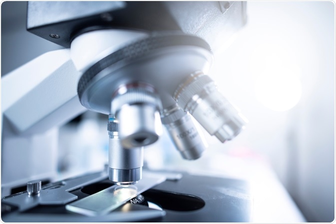Microscopy Microscopy