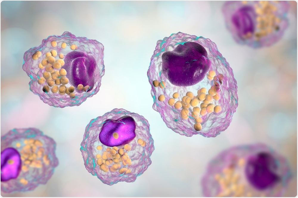 Lipid Cells Lipid Cells