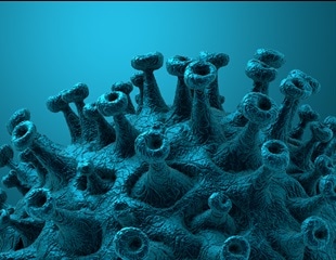 Blood Filter May Calm The Cytokine Storm Of COVID-19