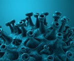 Blood Filter May Calm The Cytokine Storm Of COVID-19