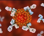 Study shows coronavirus does not induce cross-protective immune antibodies