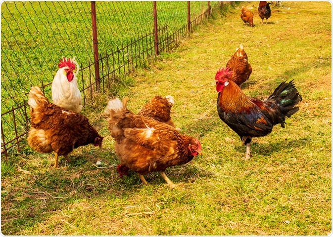 Organic Farming Organic Farming