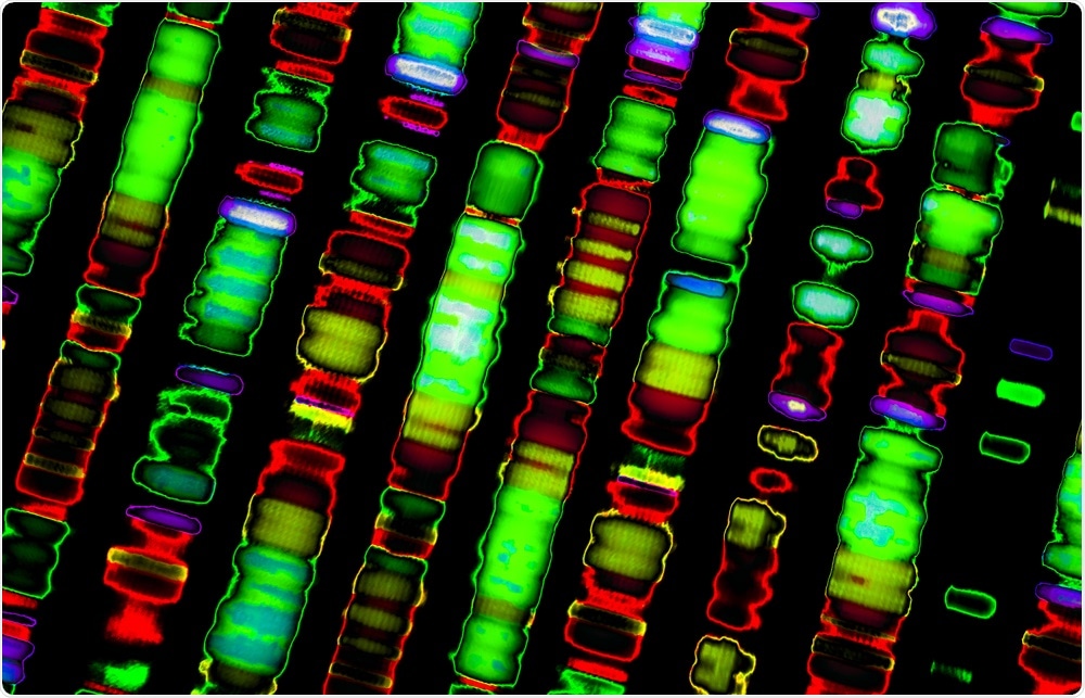 DNA Sequence DNA Sequence