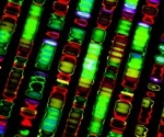 'Unnecessary' Genetic Complexity: A Spanner In The Works?