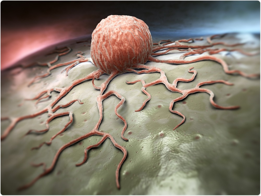Cancer Cell Cancer Cell
