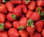 Whole Strawberries Studied For Their Anti-Inflammatory Benefits
