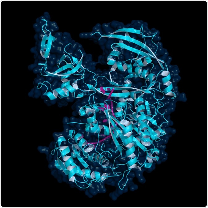 Human Argonaute Protein Human Argonaute Protein