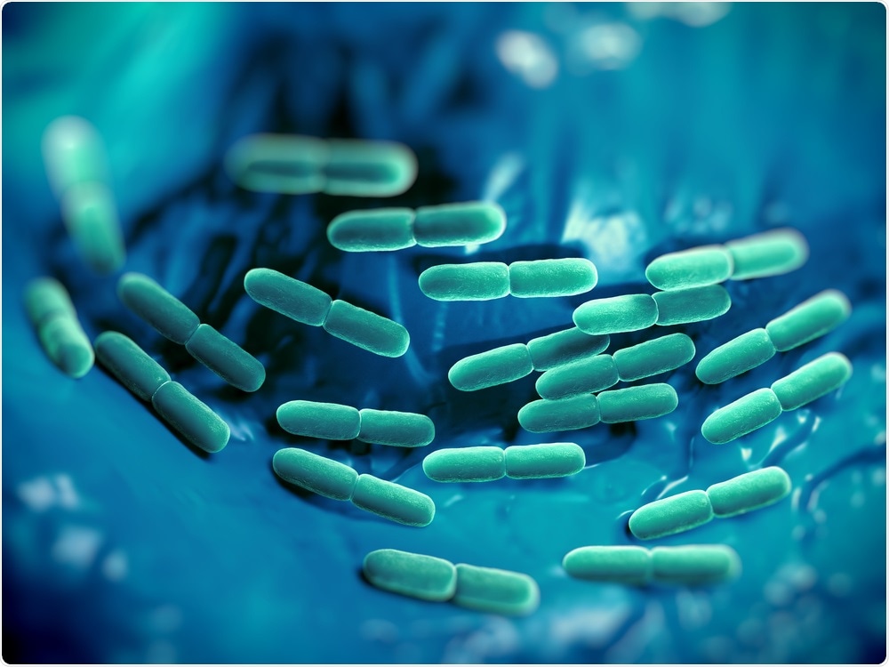 Lactobacillus Lactobacillus
