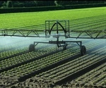 Food System Innovation