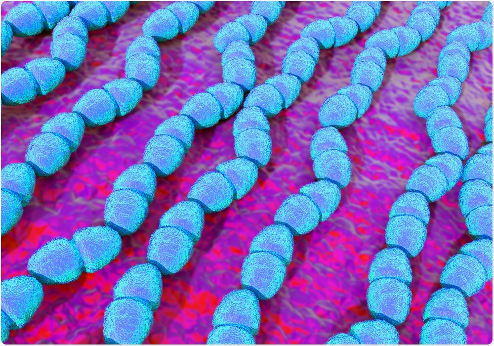 Streptococcus faecalis Streptococcus faecalis