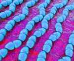 Leap Forward In The Discovery And Development Of New Antibiotics