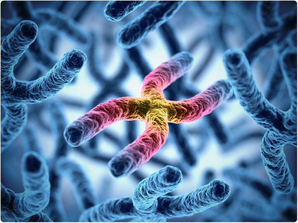 Chromosome Chromosome