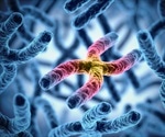 How Small Chromosomes Compete With Big Ones For A Cell's Attention