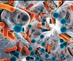 Bacteria’s drug resistance is not affected by genetic tradeoffs