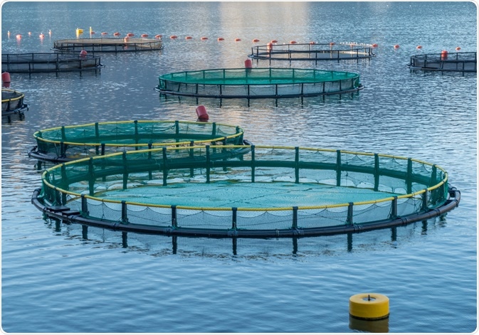 Fish Farming Fish Farming