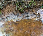Environmental Contaminants Alter Gut Microbiome