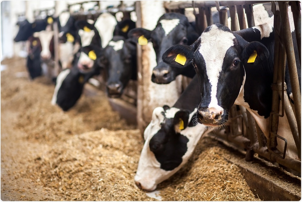 Livestock Livestock
