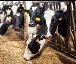How Intensive Farming Could Increase the Risk of Epidemics